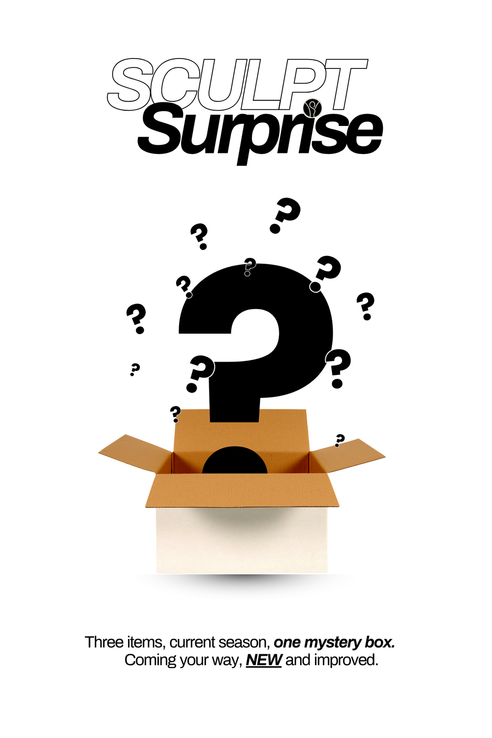 Sculpt Mystery Box